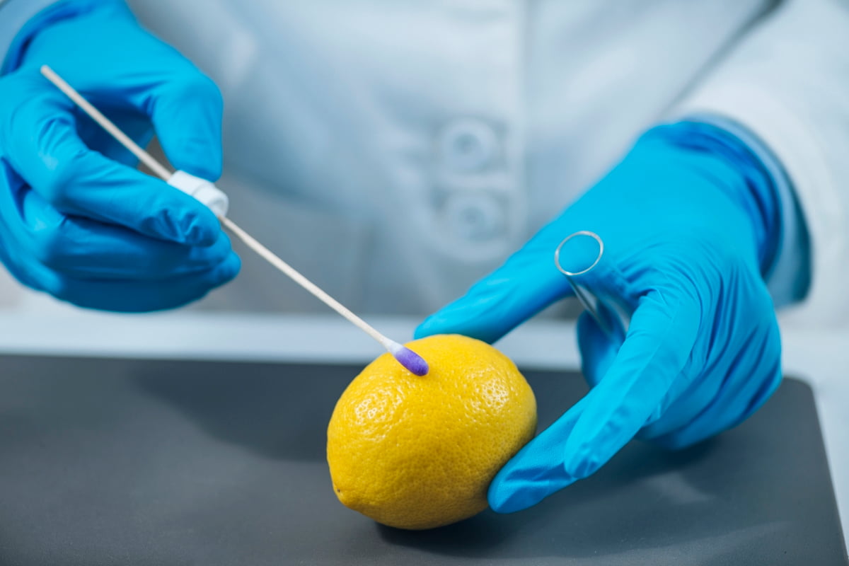 Food Quality Control Expert Examining Lemon