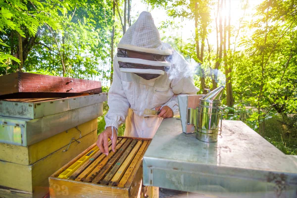 Comprehensive Beekeeping Business Plan1