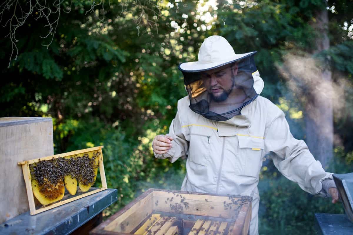 Comprehensive Beekeeping Business Plan5
