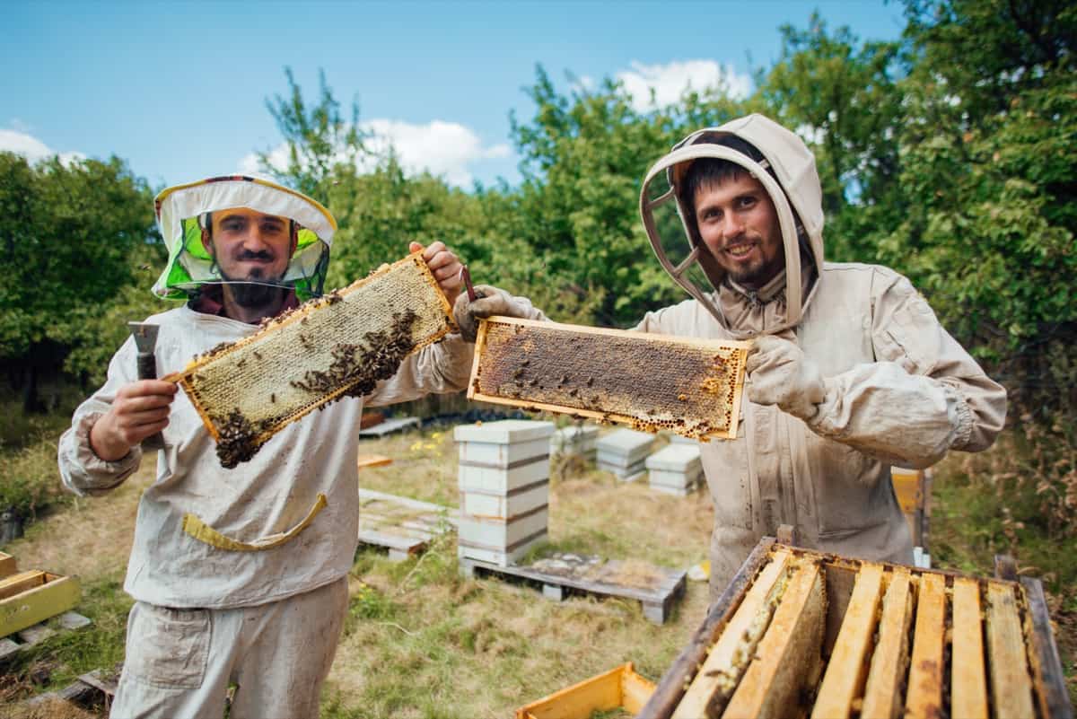 Comprehensive Beekeeping Business Plan6