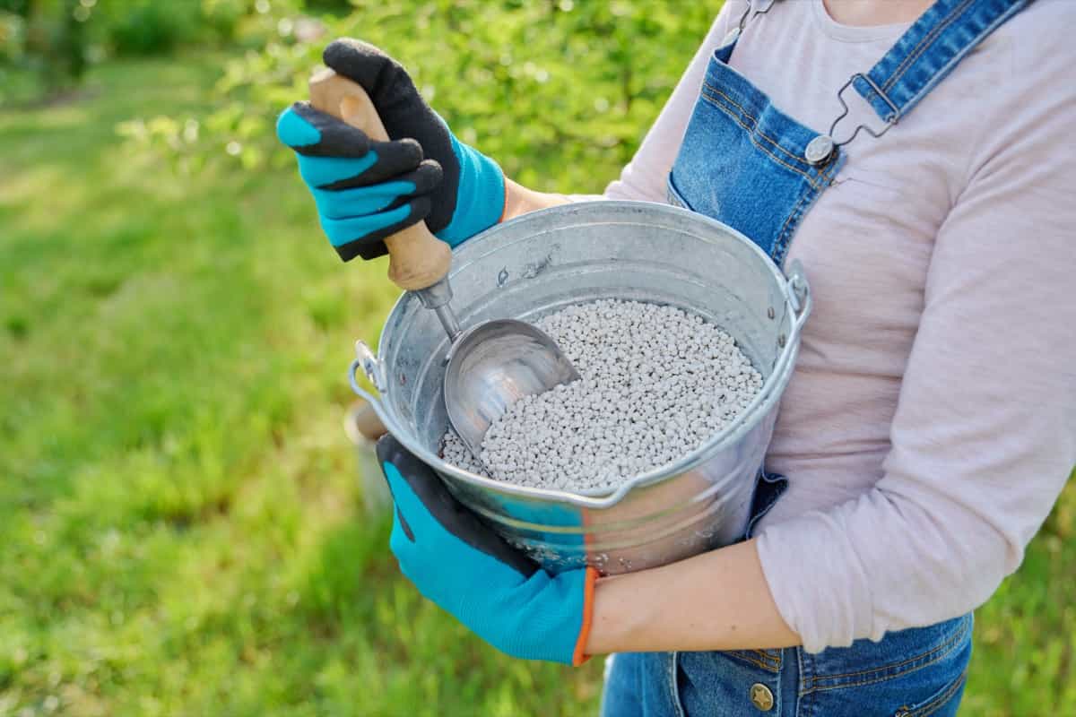 bucket of granular fertilizer