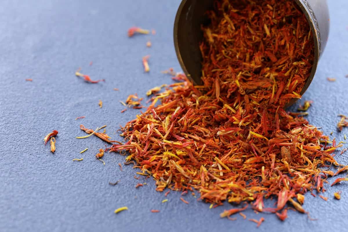 Frequently Asked Questions About Saffron Farming
