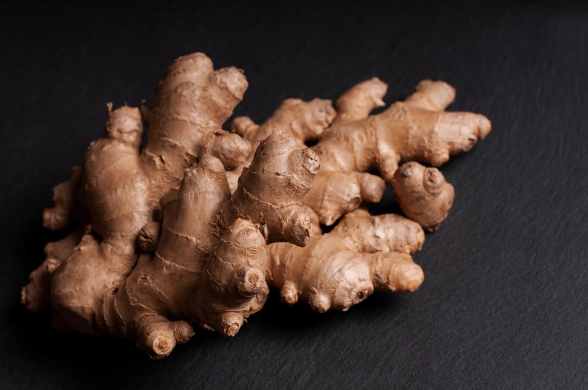 Ginger Fertilizer Requirements and Recommendations: A Step-by-Step Guide