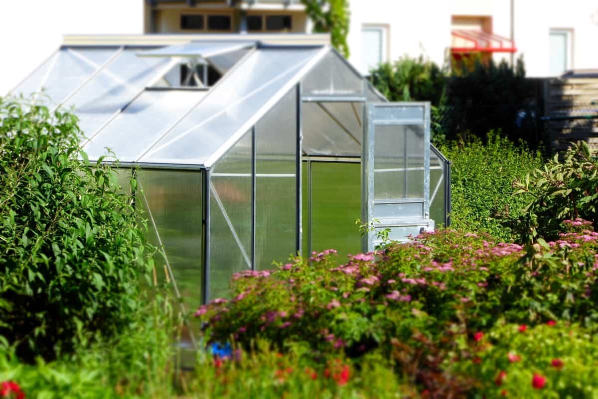 Simple Glasshouse Farming Design