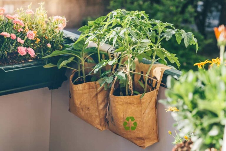 Ultimate Guide to Grow Bag Gardening: Tips, Tricks, and Planting Ideas for Urban Gardeners