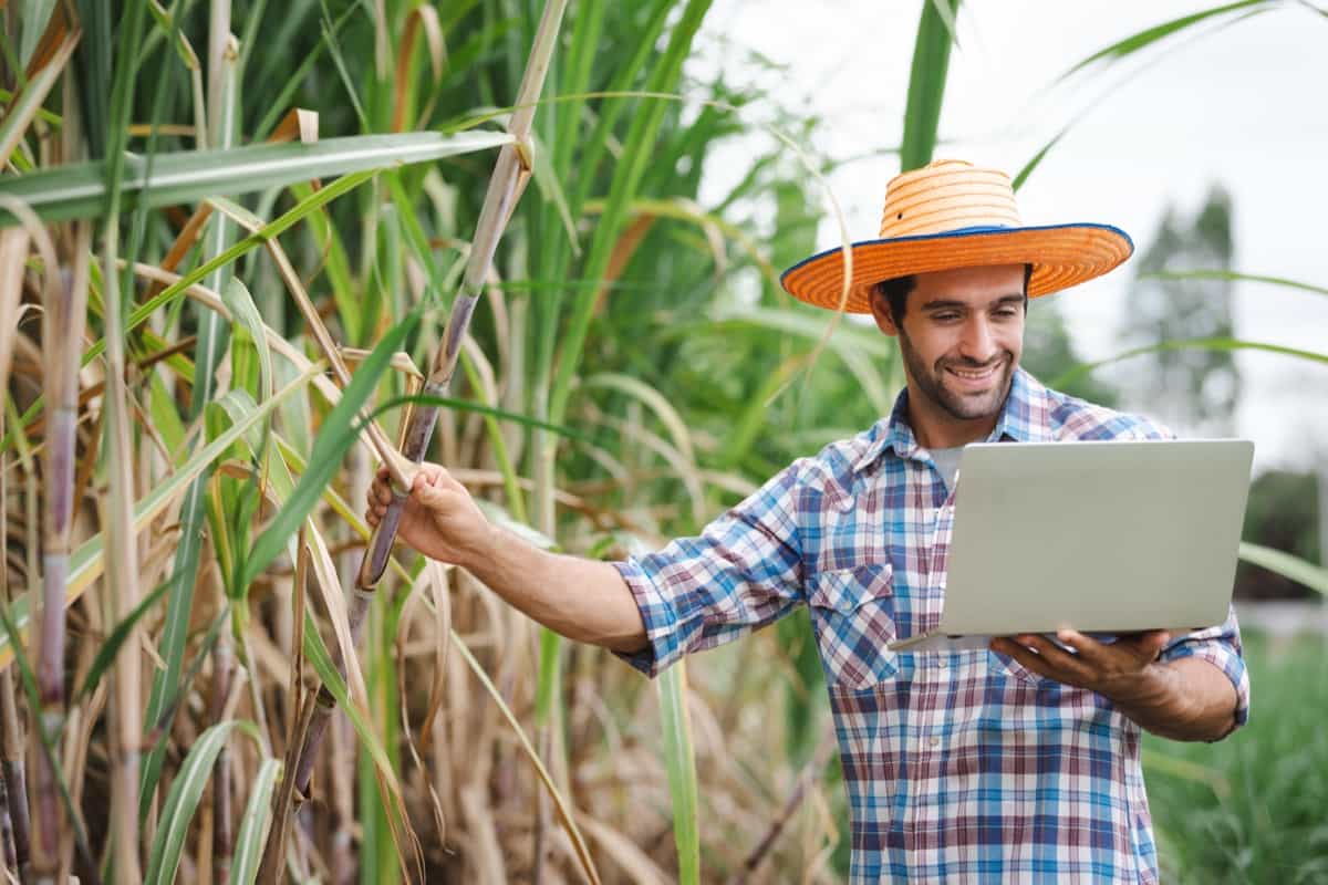 Use of Technology in Sugarcane Farming