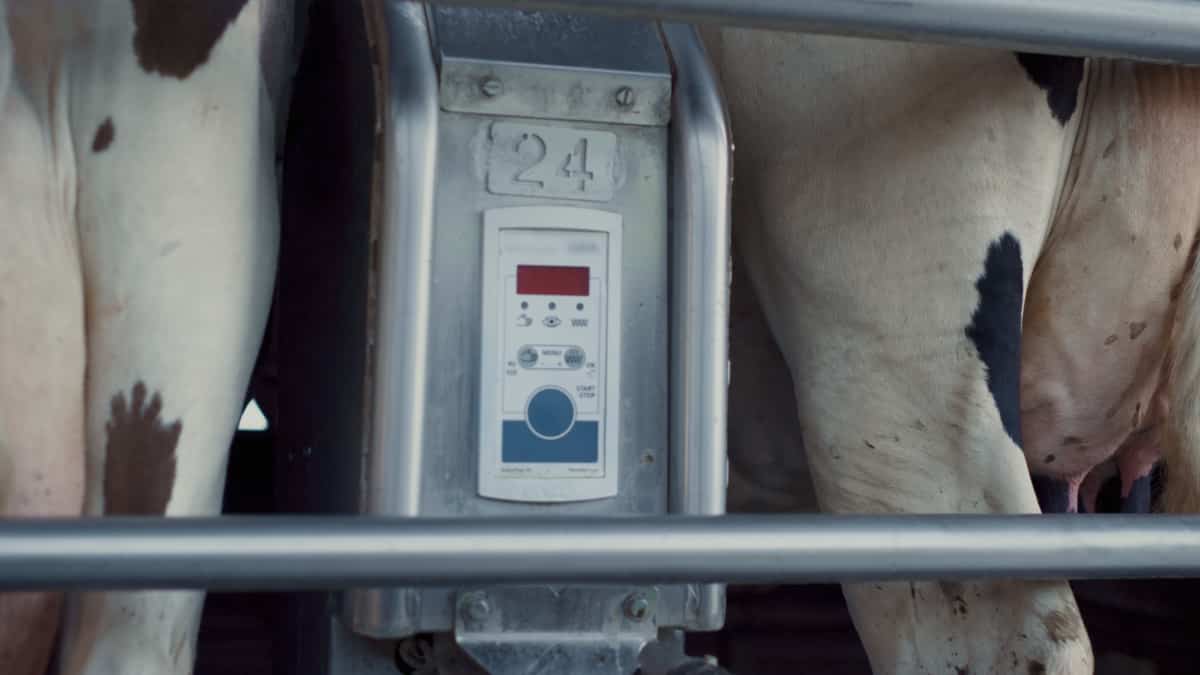 Advanced Dairy Farming