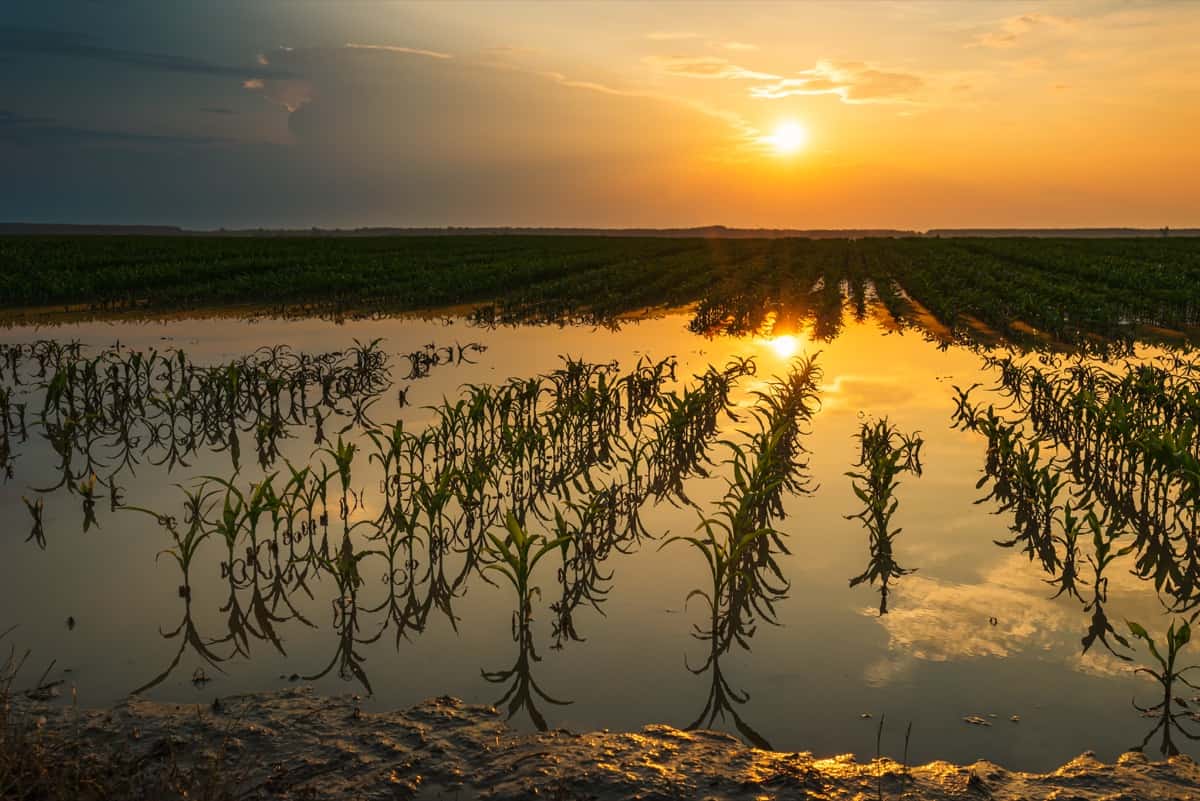 Climate Change on Agriculture