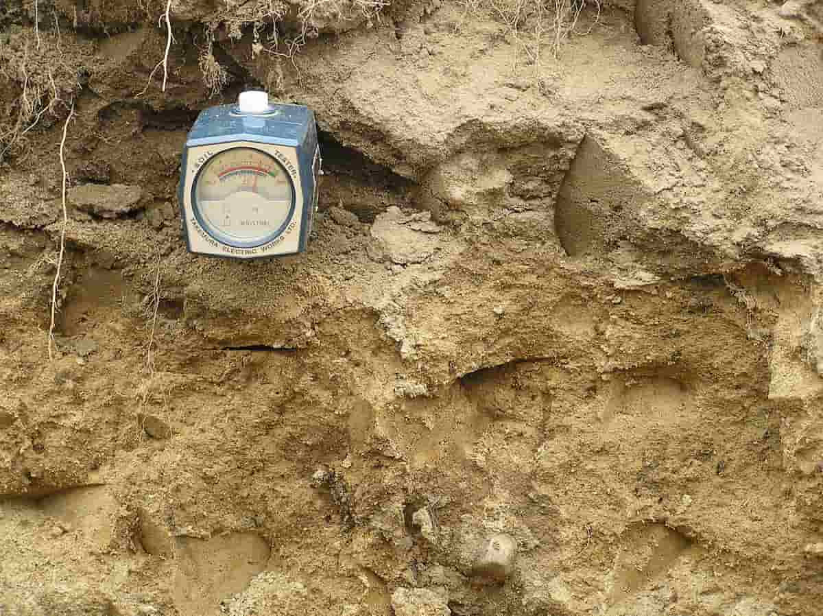 How to Balance Soil pH in Agriculture