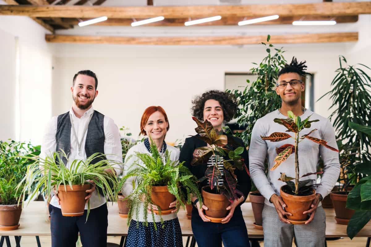 Employees Holding Plants
