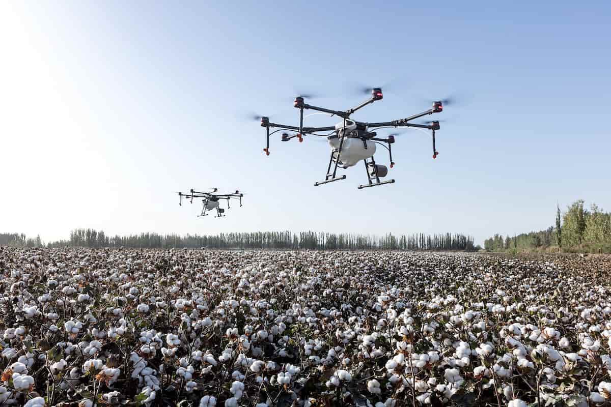 Drones in Cotton Farming