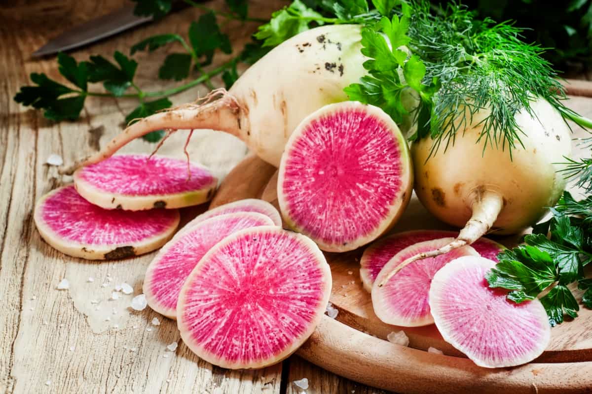 How to Start Watermelon Radish Farming
