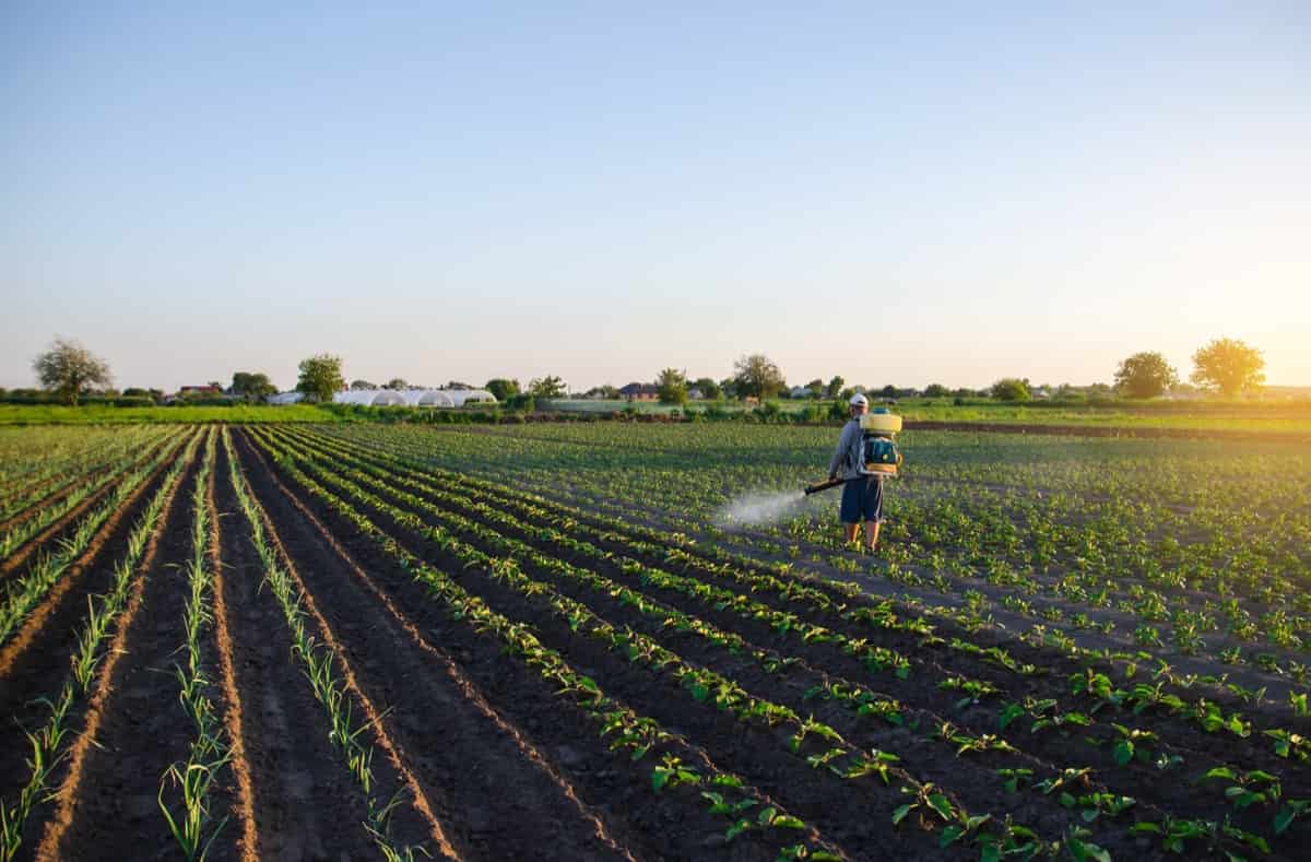 Importance of Biopesticides and Their Role in Agriculture