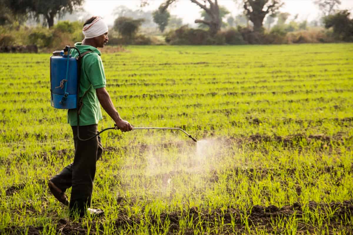 Biopesticides Spraying in the Field