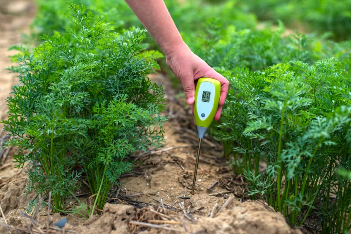 Importance of Soil Moisture Sensors in Agriculture