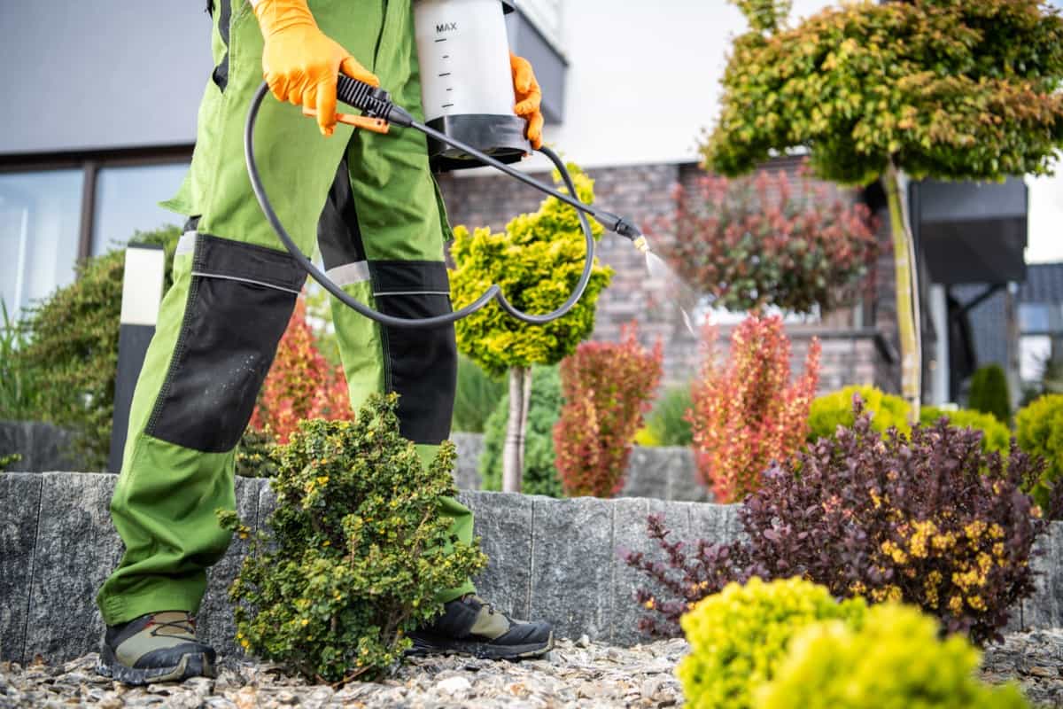 Integrated Pest Management in Landscaping