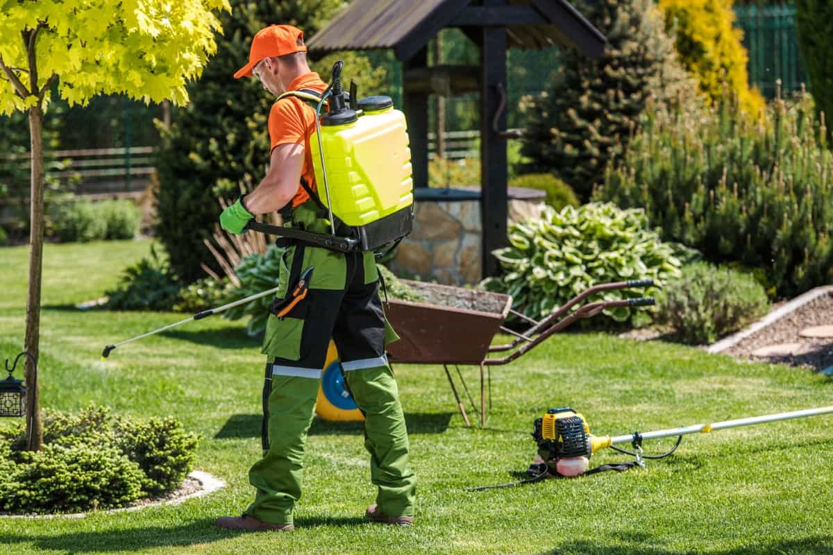 Professional Gardener Performing Garden Spraying