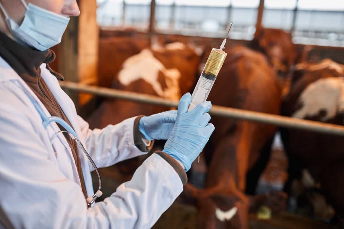 Livestock Vaccination Cost in India