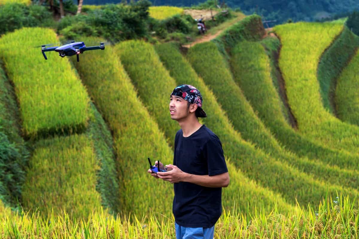 Drones in Paddy Farm