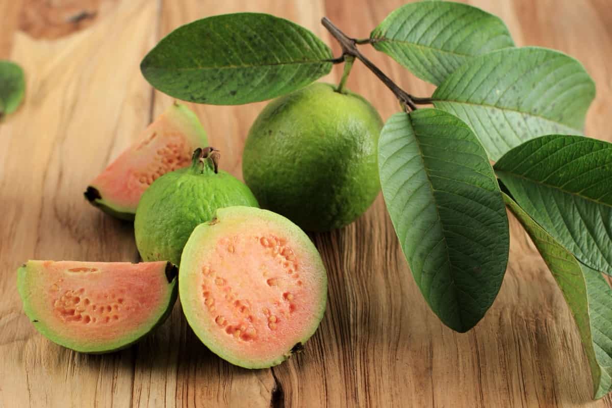 Cut Guava with Leaves