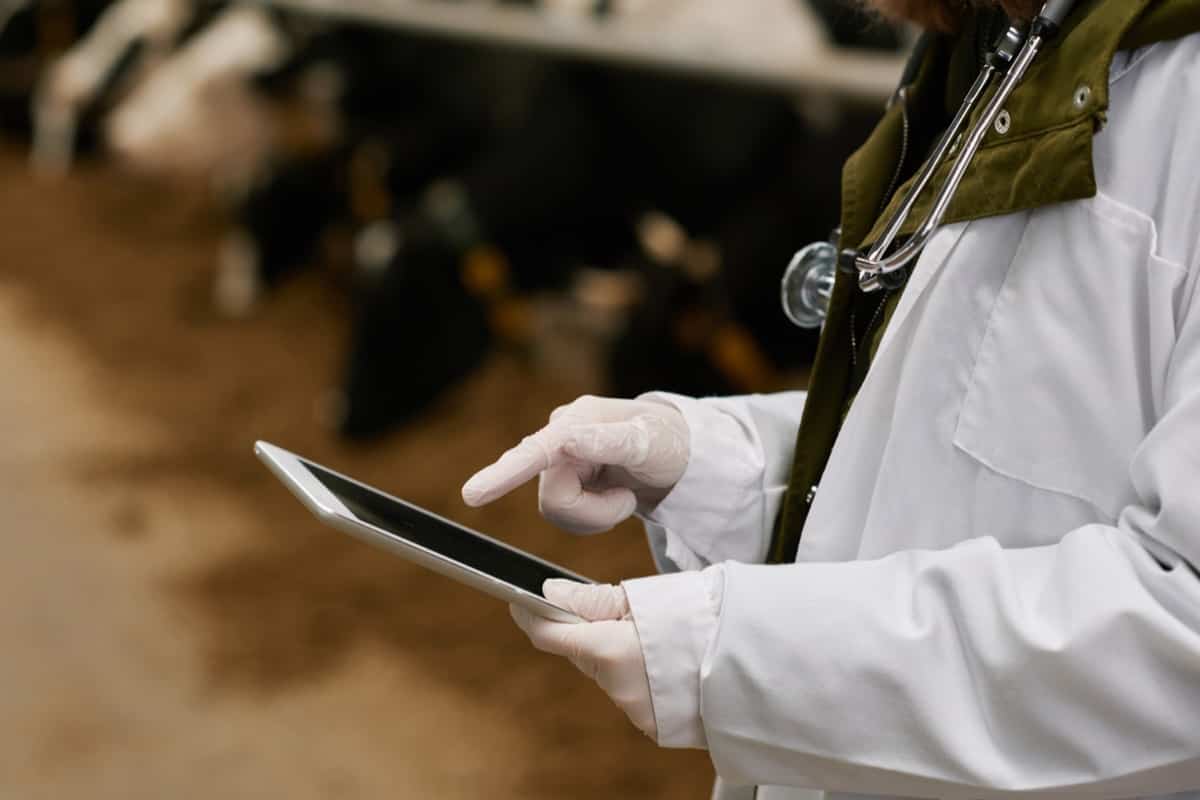 Smart Dairy Farming