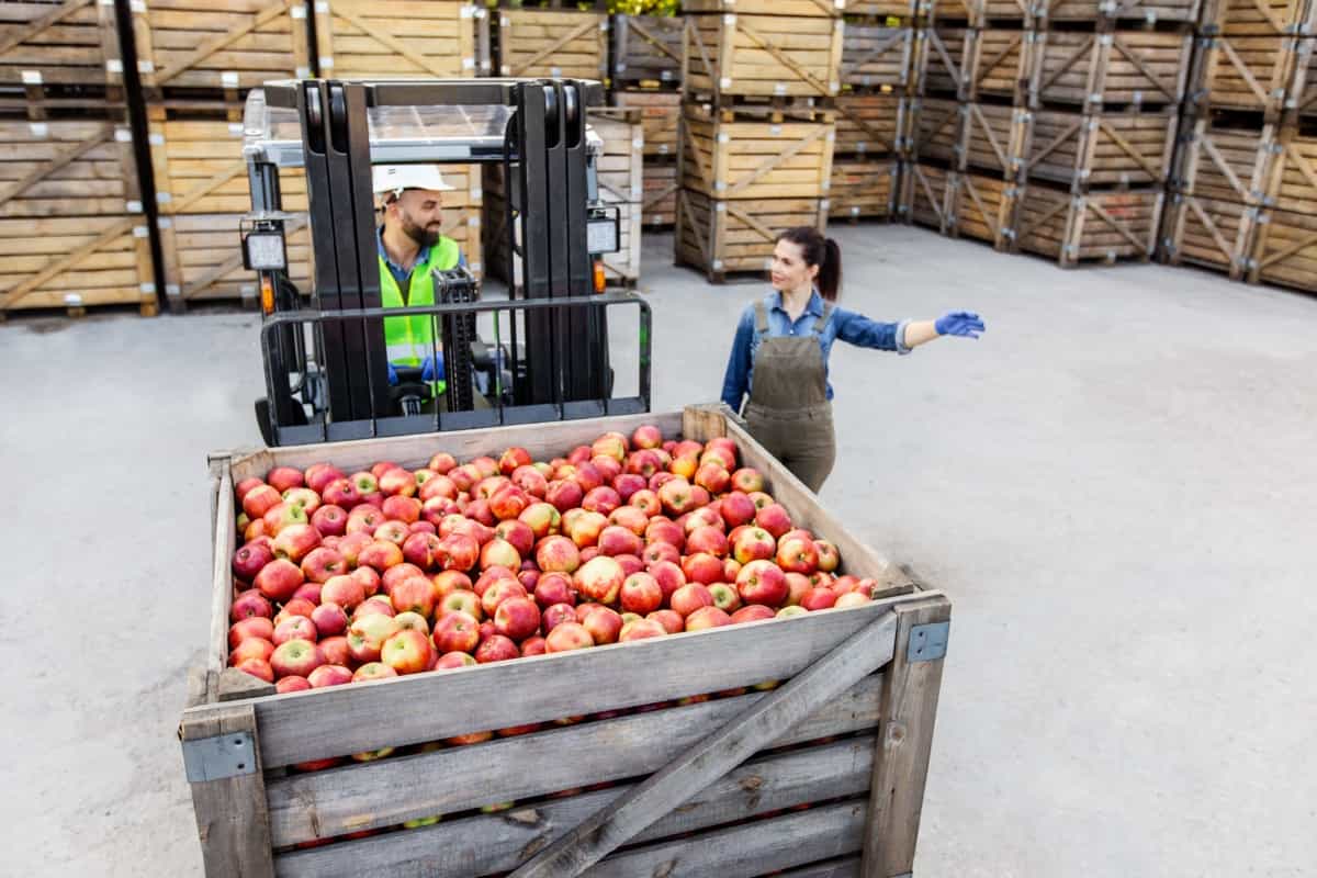 Fruit warehouse management