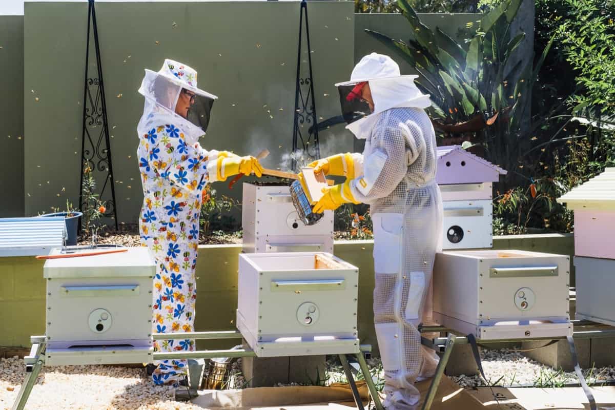National Beekeeping and Honey Mission (NBHM)
