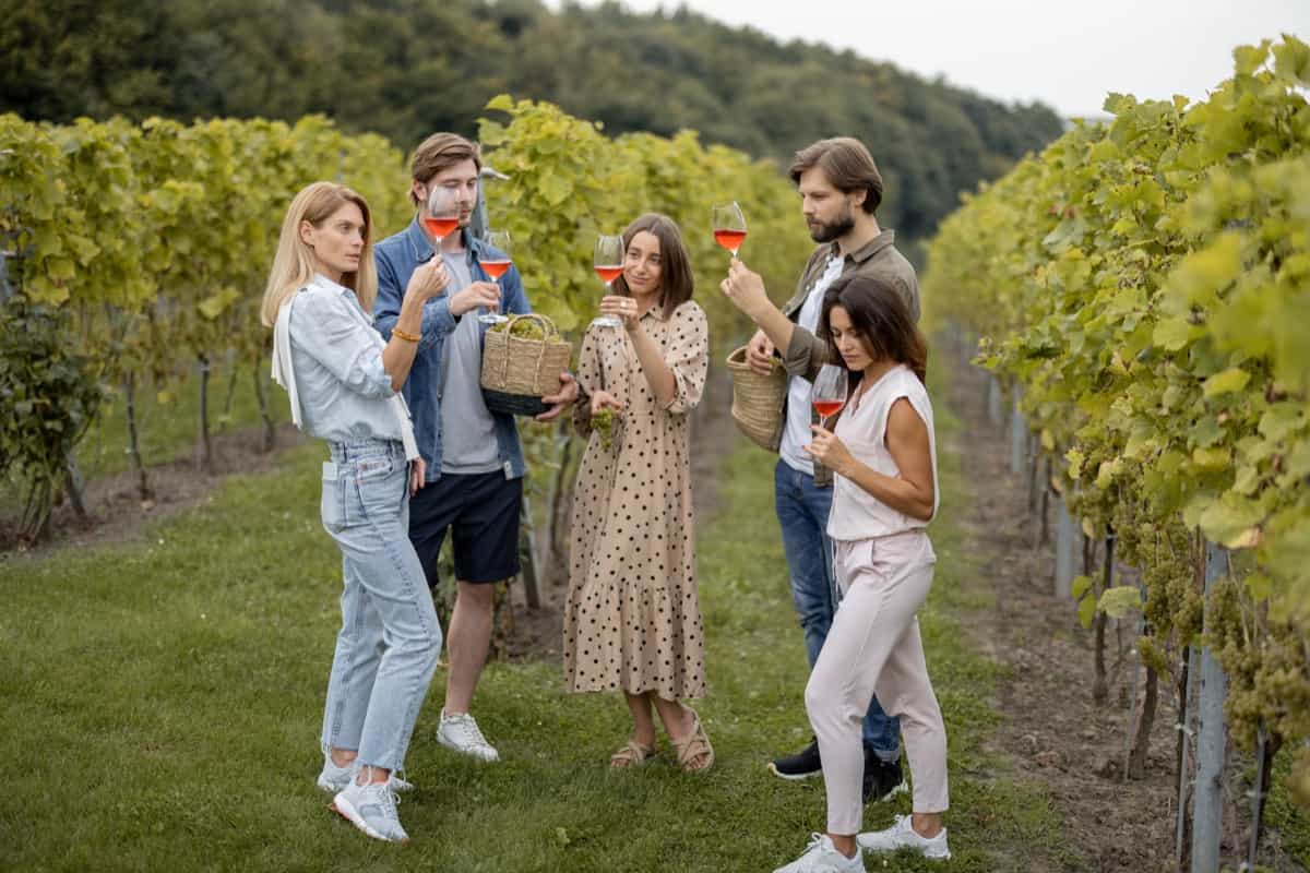 tasting wine near vineyards in countryside