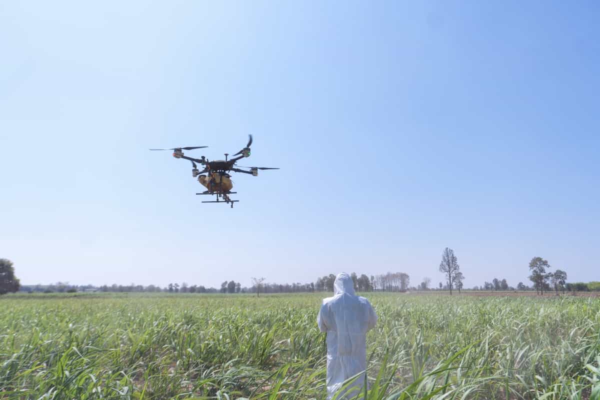 drone spraying insecticide in the farm