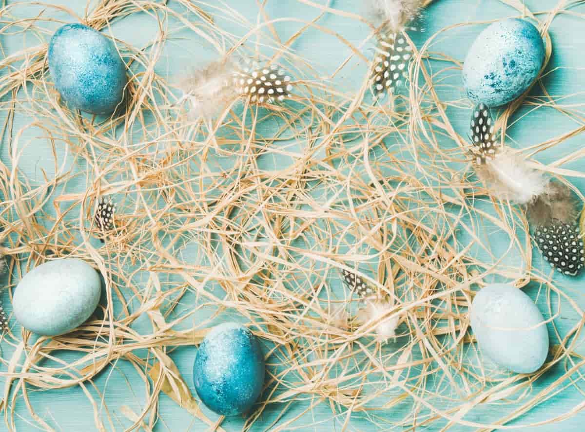 Blue Painted Traditional Eggs