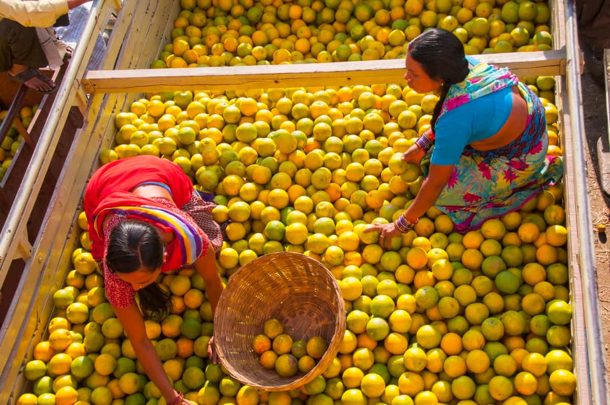 Citrus Fruits in a Market