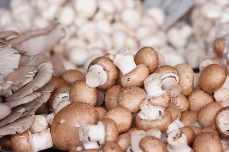 Unlock the Secrets of Mushroom Cultivation: A Step-by-Step Comprehensive Guide for Beginners