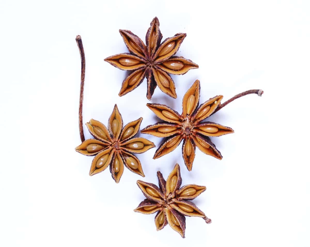 Star Anise Cultivation