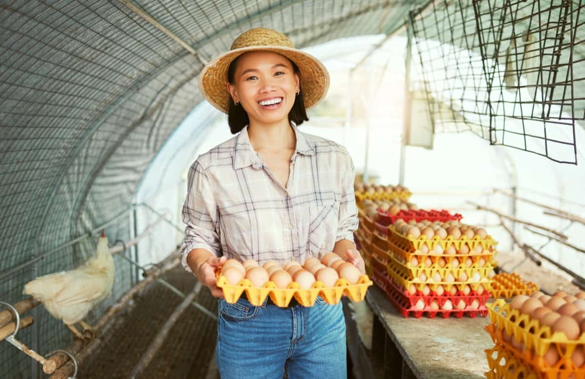 Strategies for Maximizing Egg Production