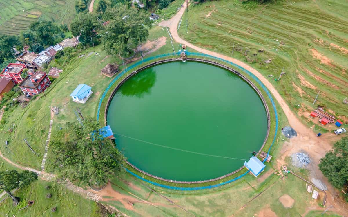Spirulina Cultivation Subsidy: How the Indian Government Encourages Spirulina Producers