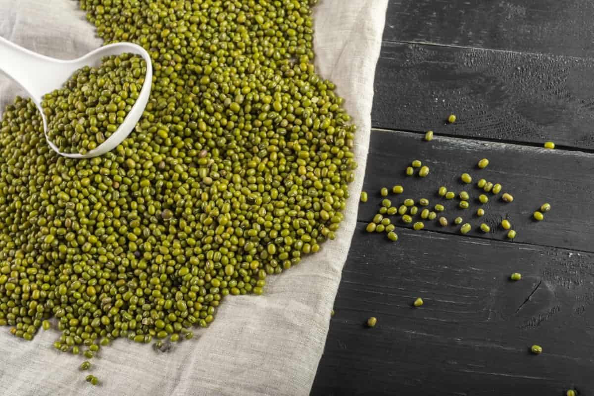 Mung Beans on The Table