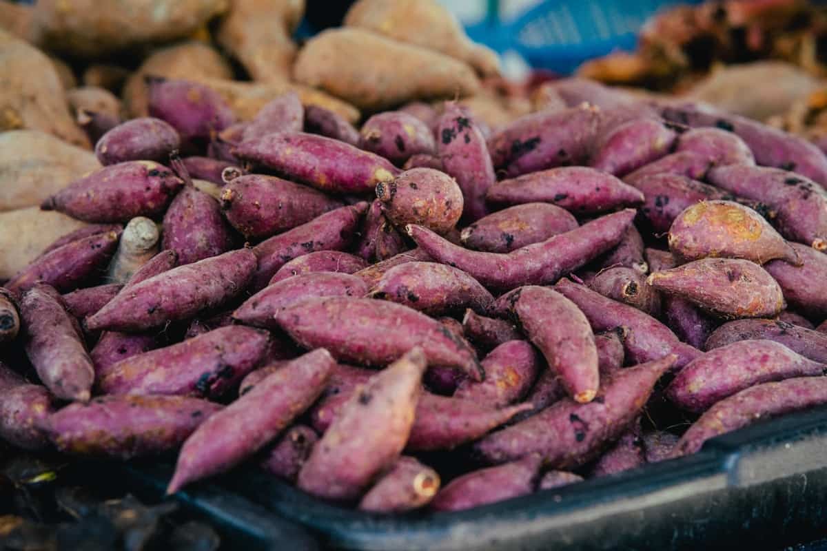 Sweet Potato Market