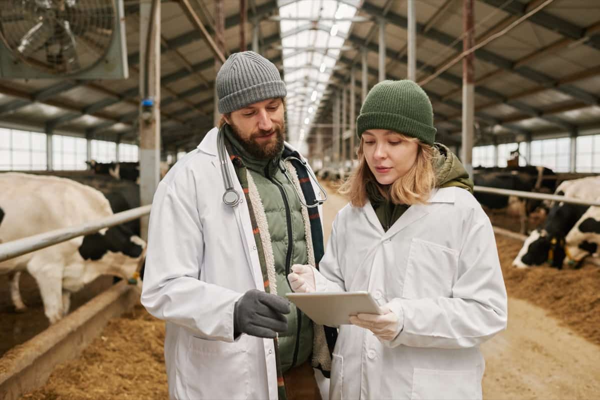 Dairy Farm Inspection