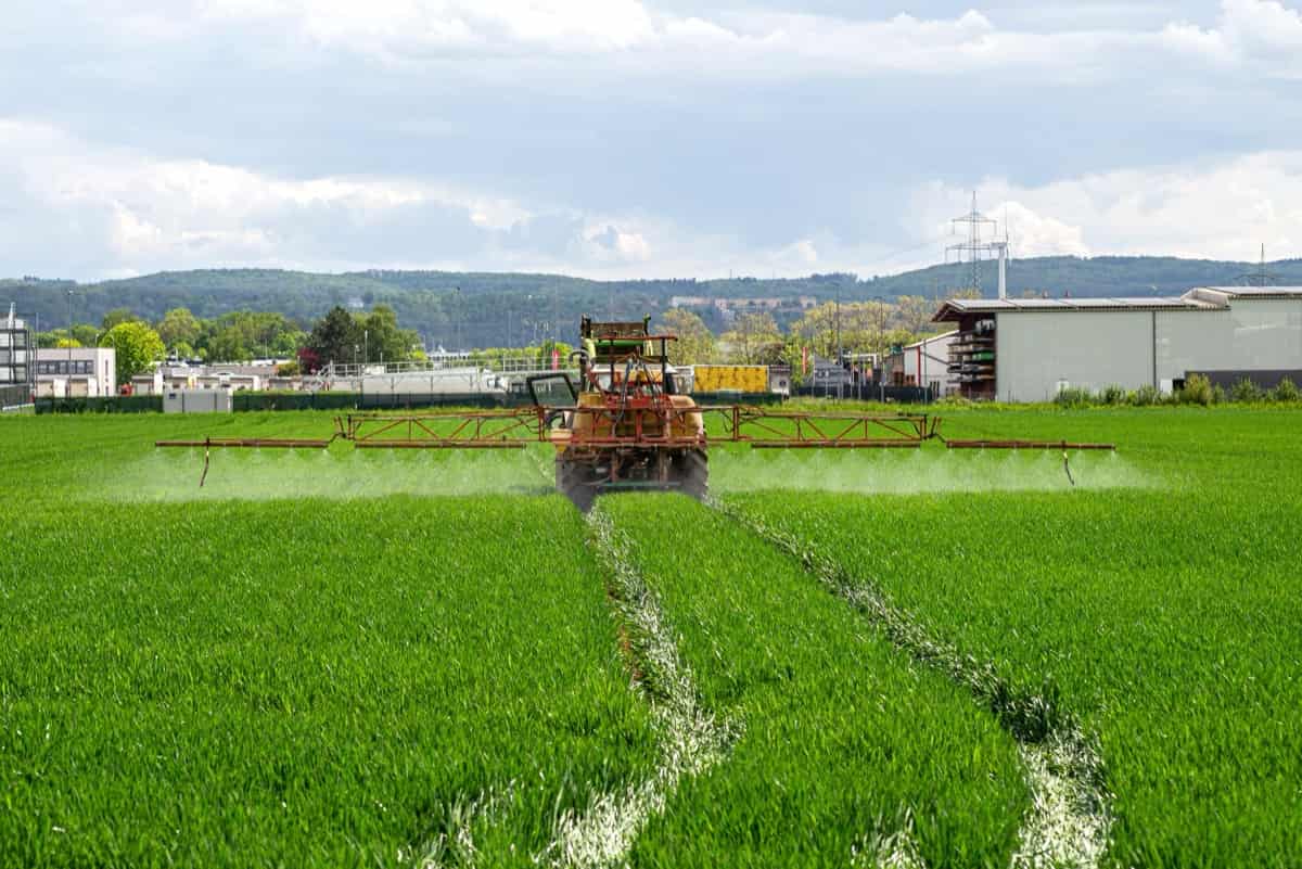 Spraying a crop field with a tractor that has a tank with spray nozzles