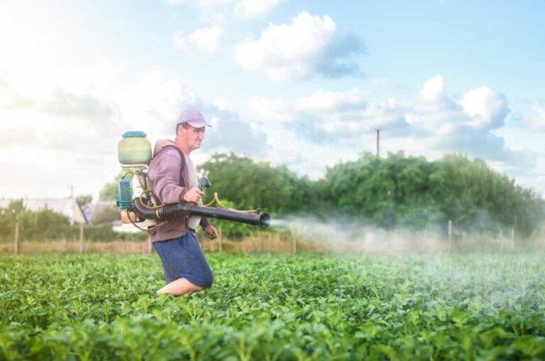 Types of Pesticides Used in Agriculture: A Beginner’s Guide