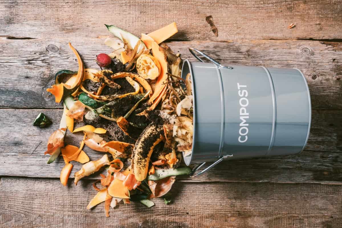 Vegetable Waste in Recycling Compost Pot