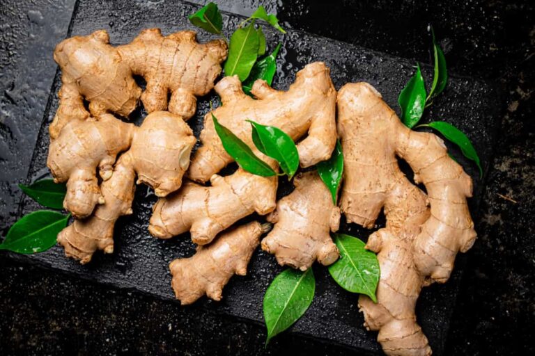 Ultimate Guide to Organic Ginger Farming: Cultivation Practices for Beginners