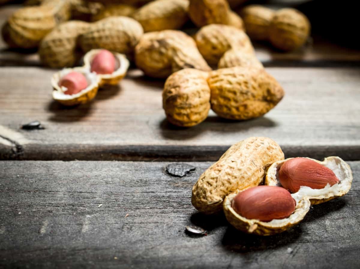 Peanuts with Shells